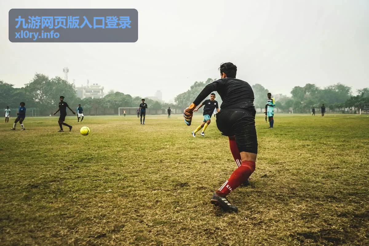 九游网页版入口登录登录流程操作示意